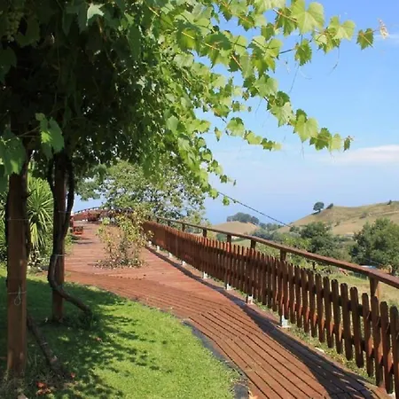Zelaieta Berribi