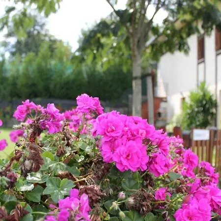 Zelaieta Berribi 컨트리하우스 Itziar